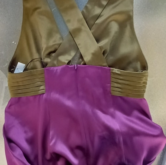 Catherine Malandrino NWOT Gown - Picture 10 of 12